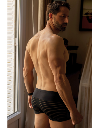 Boxer noir rayé opaque et transparent - LM2906-67BLK